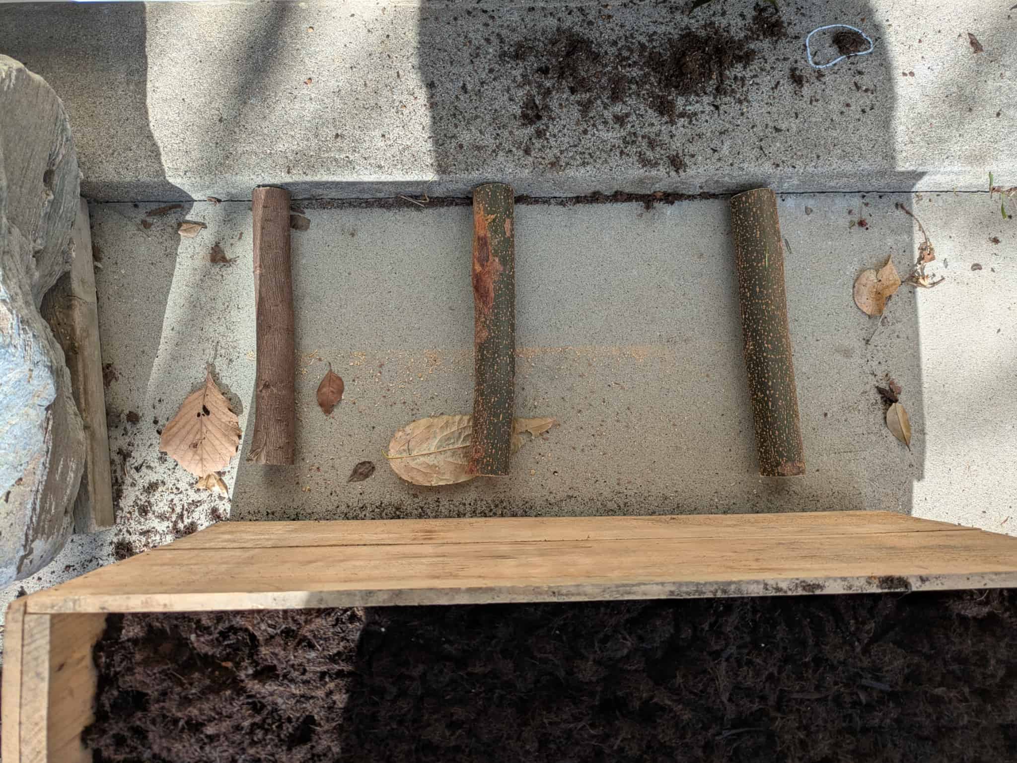 木の枝で底上げされた木箱