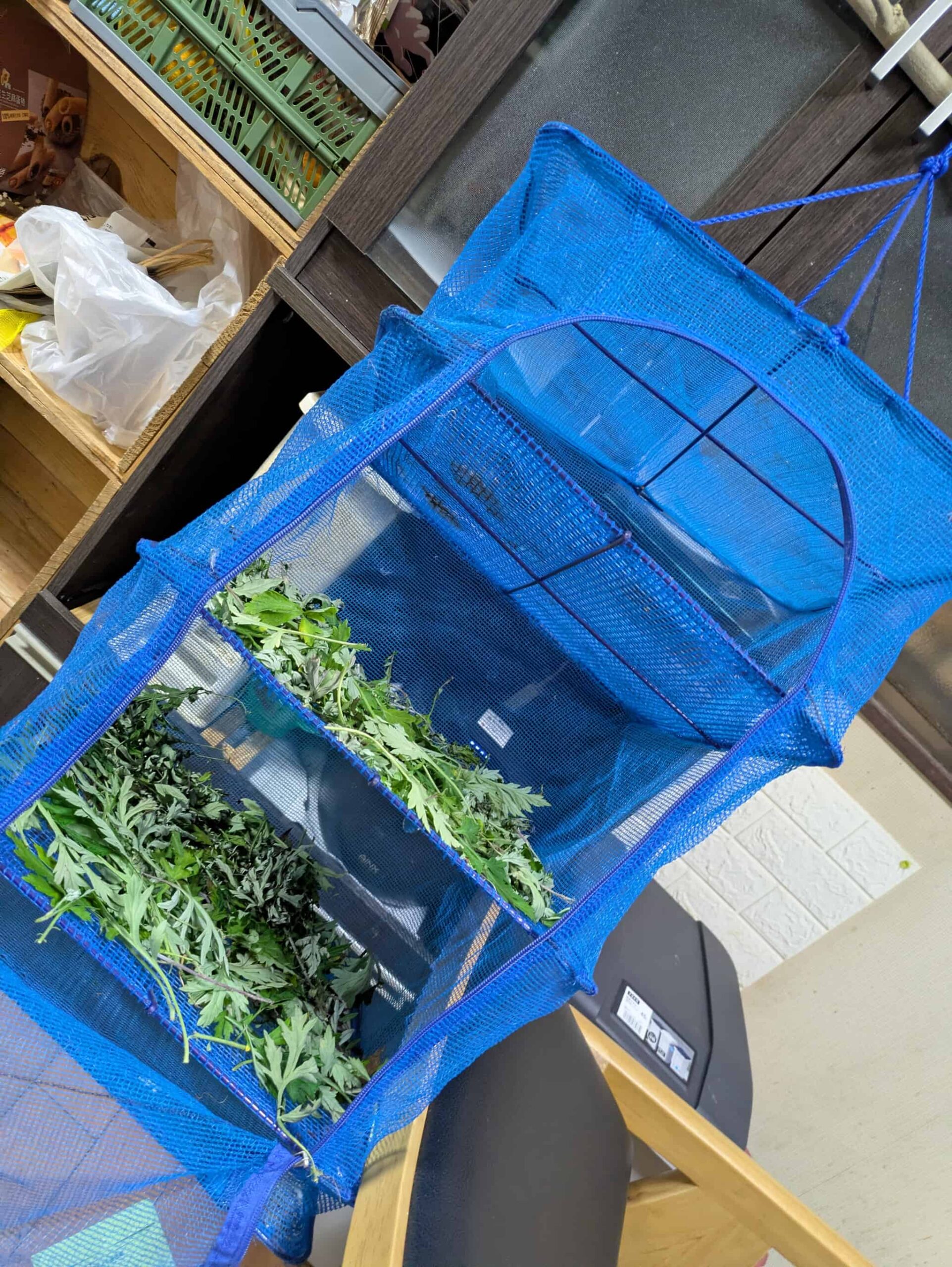 乾燥ヨモギ作成風景