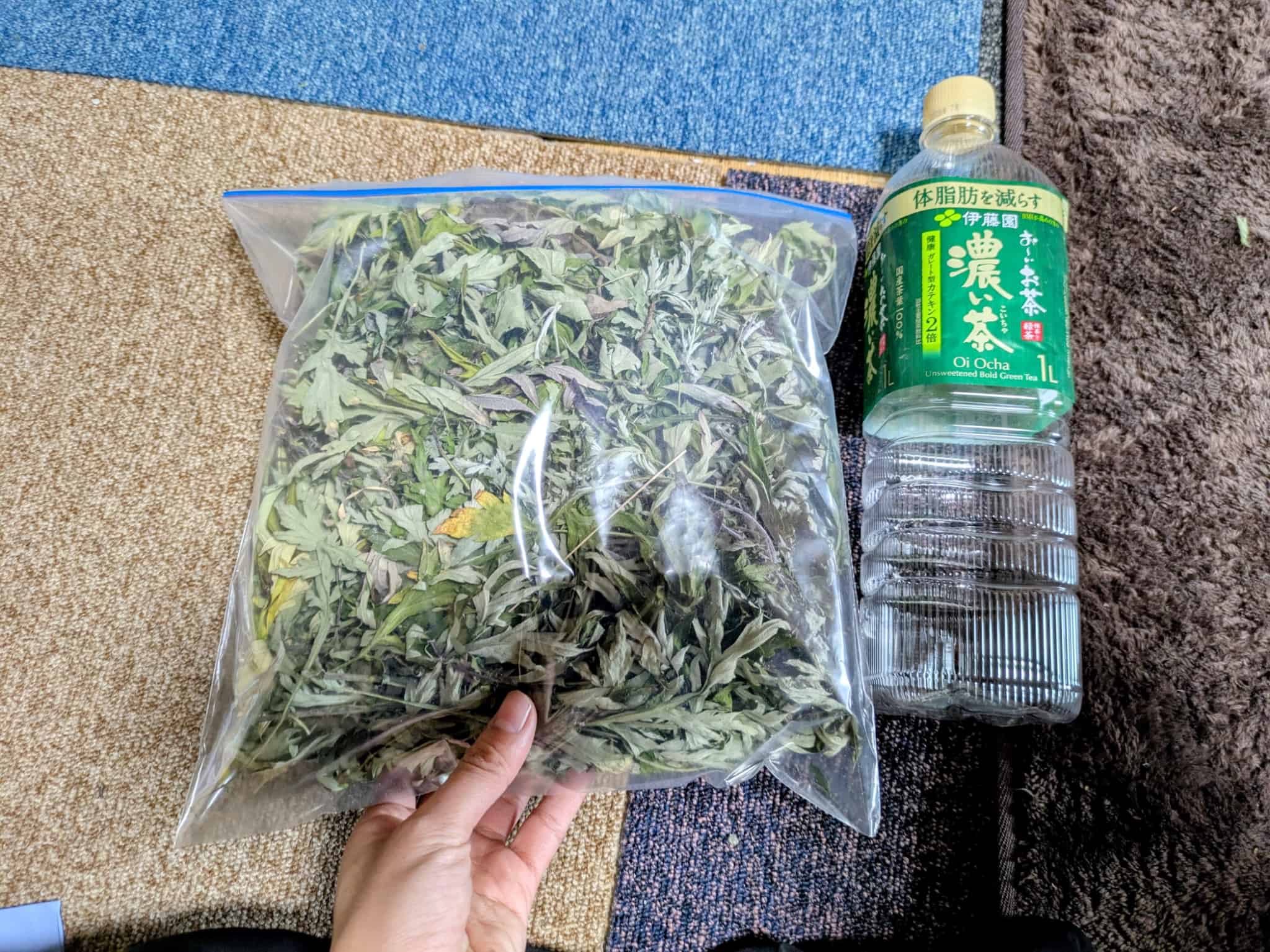 発送前の乾燥ヨモギ