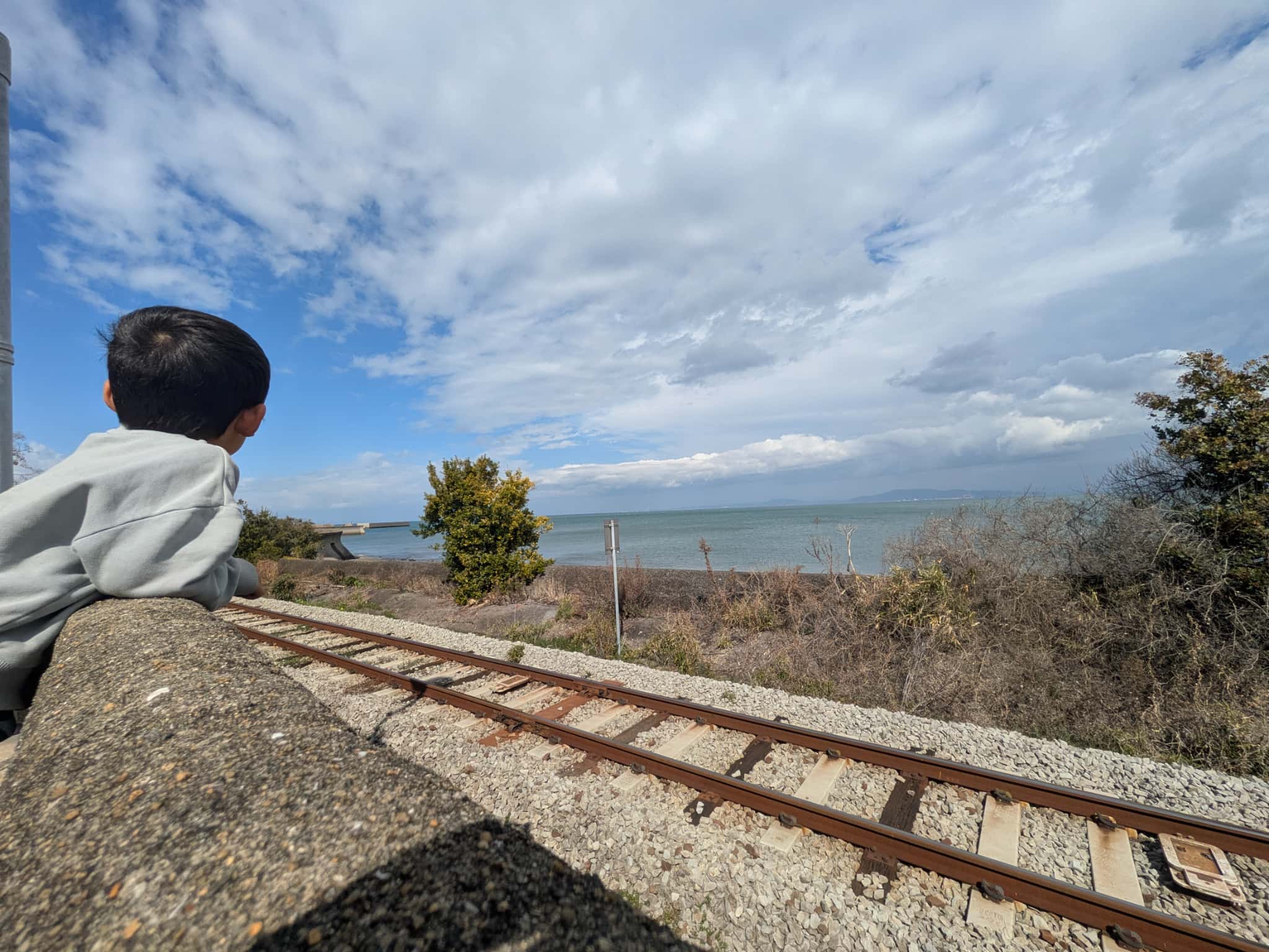 海を眺める様子