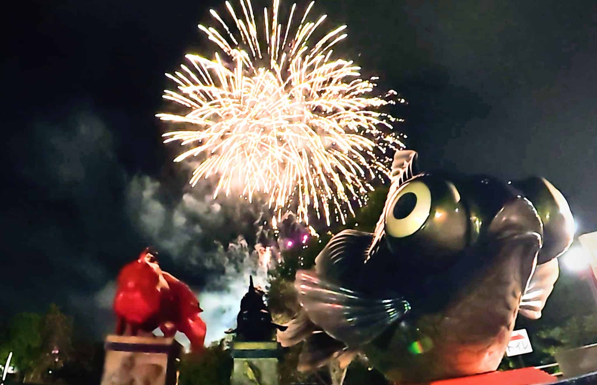 360度カメラで撮影し切り出した花火の写真