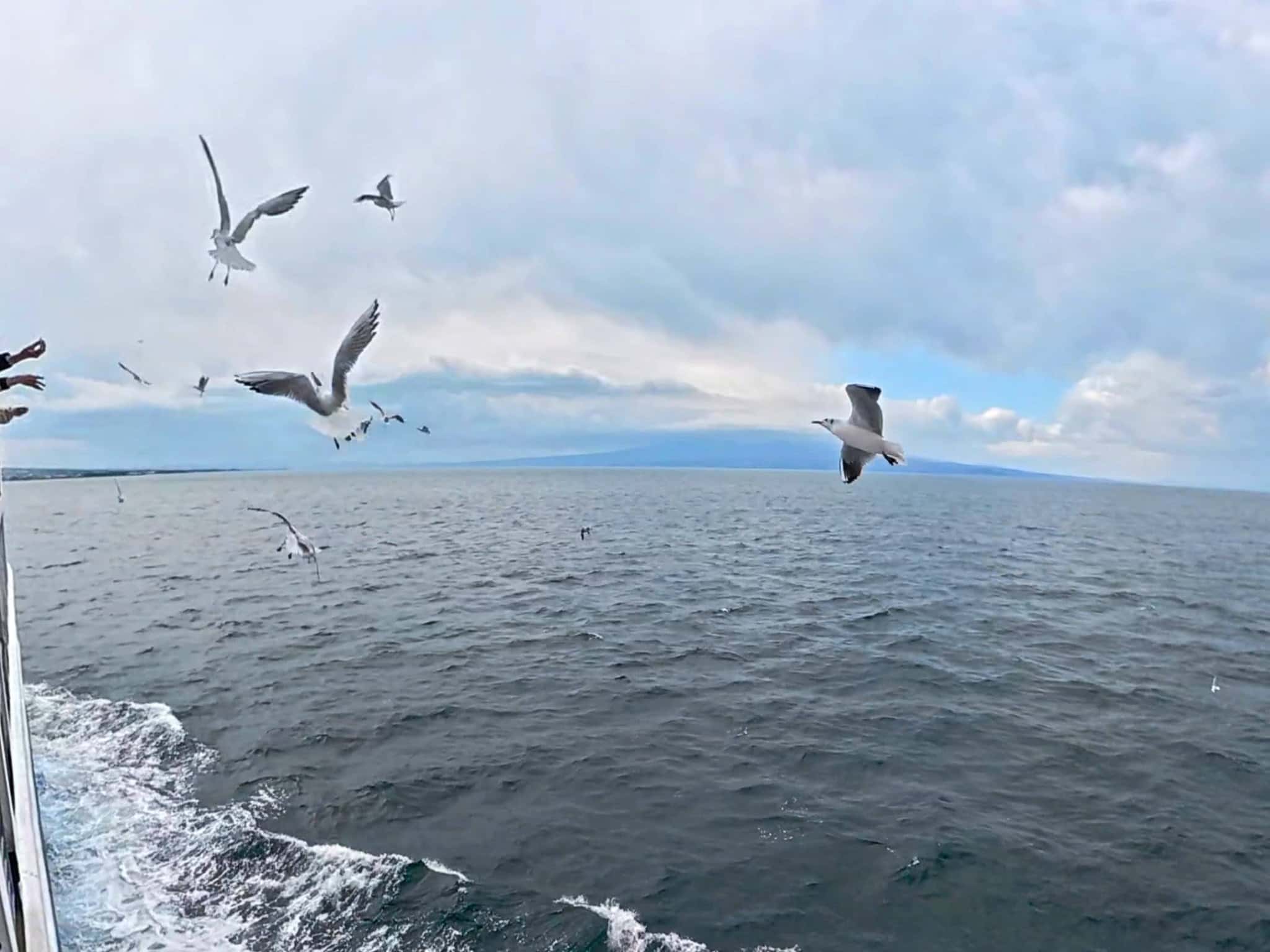 長崎と熊本を結ぶ ありあけフェリー