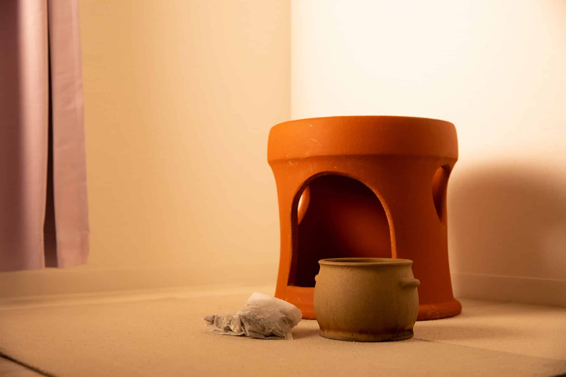 【自宅でヨモギ蒸し】効果・やり方・代用品ガイド！安く本格デトックスする方法