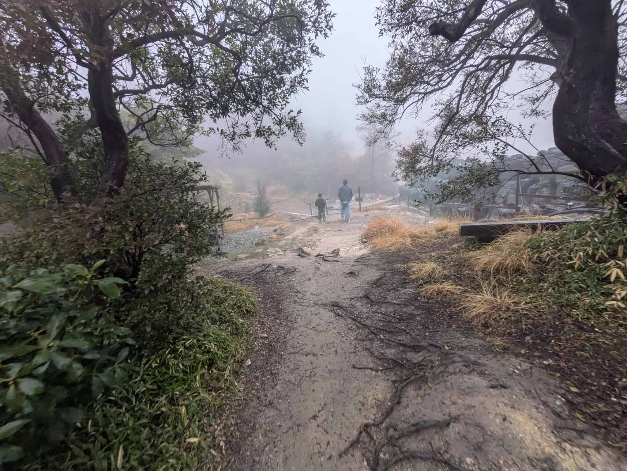ベビーカーや車いすにはすこし通りずらい遊歩道